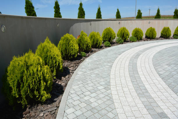Best Decorative Driveway Pavers  in Fest Grove, OR